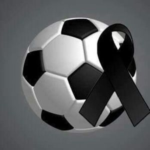 Meet your Posher, Jasmin